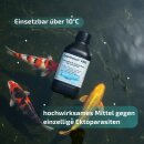 Cyprinocur® FMC - Medizin gegen Parasiten Ichtyo Pilz...