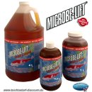 MICROBE LIFT® Clean & Clear - Hochleistungs...