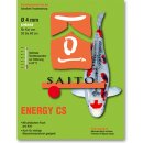 SAITO ENERGY CS - Koi Sinkfutter mit arktischem Fisch Krill Kohlenhydrate Ballaststoffe niedrige Wassertemperatur Ø4 mm - Inhalt: 5 kg Eimer