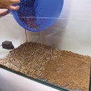 JBL PROFLORA AquaBasis plus - Aquarium Nahrung Nährstoffe Nährboden braun für Aquarienpflanzen - Inhalt: 5 Liter (2021000)