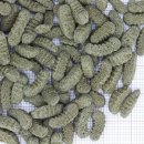 JBL Propond Silkworms Gr. M Seidenraupenform Gammarus Koi Leckerbissen - Inhalt: 1 kg (JBL Nr.4133100)