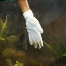 JBL PROSCAPE CLEANING GLOVE Aquarien-Handschuh mit Metallfäden zur Reinigung von Scheiben Gegenständen Pflanzenblätter (JBL-Nr.6137900)