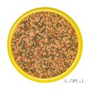 JBL PRONOVO BEL GRANO - Aquarium Hauptfutter-Granulat für alle Aquarienfische - Größe S