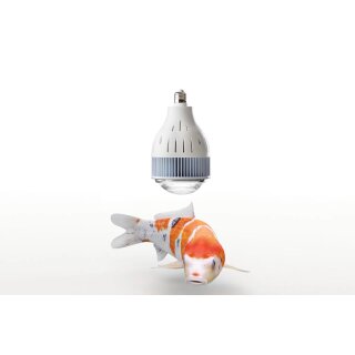flexBEAM Koi Edition - LED-Strahler - Leistung: 150 Watt