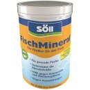Söll FischMineral® - Die Vitalkur für den Fisch