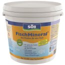 Söll FischMineral® - Die Vitalkur für den Fisch