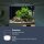 DENNERLE ALL IN ONE! ELIXIER Einfahrphase Aquarium Vitalstoffversorgung Wasserpflege - Inhalt: 250 ml