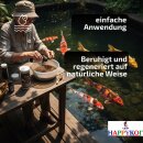 Cyprinocur® Wundheilset Wundbehandlung Set - Koi Zierfische / Antisept - Pudergel - Propolis