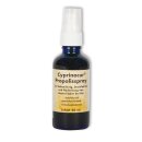 Cyprinocur® Wundheilset Wundbehandlung Set - Koi Zierfische / Antisept - Pudergel - Propolis